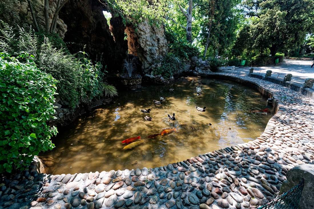 Le bassin du Rocher des Doms à Avignon, avec ses canards et ses carpes koï