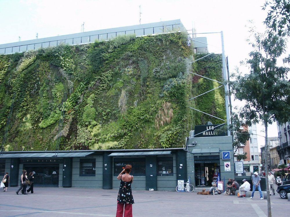Le mur végétal de Patrick Blanc sur la façade des Halles, place Pie